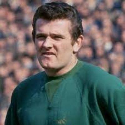 tommy lawrence net worth|tommy lawrence facts.